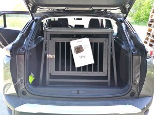 Example of 2. Gen (ej el) (ca. 2019 -> i dag) 