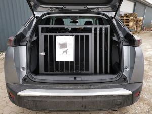 Example of 2. Gen (ej el) (ca. 2019 -> i dag) 