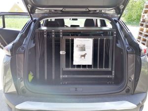 Example of 2. Gen (ej el) (ca. 2019 -> i dag) 