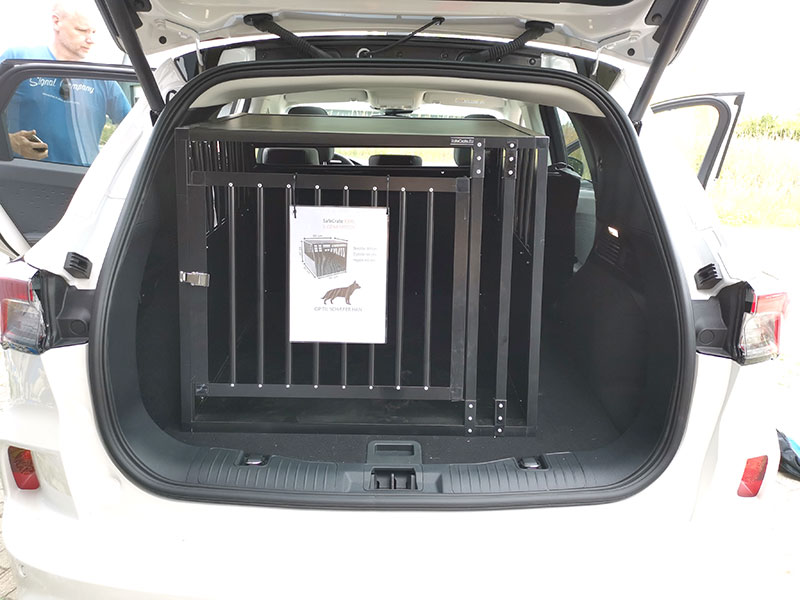 Example of 3. Gen Hybrid (ca. 2019 -> i dag)