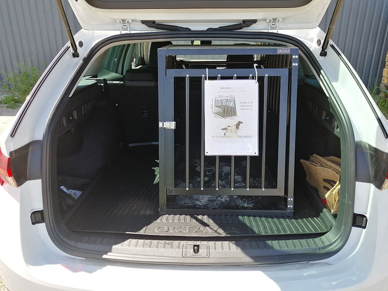 Example of Mk4 Hybrid (ca. 2019 ->  i dag)